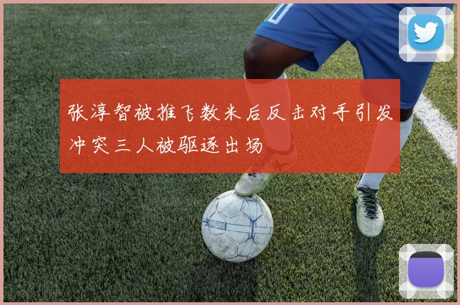 张淳智被推飞数米后反击对手引发冲突三人被驱逐出场